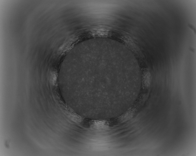 X0000100870709200807181236