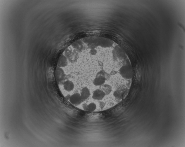 X0000100870711200807181236