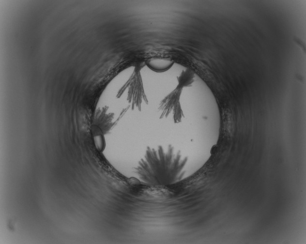 X0000100870712200807181236