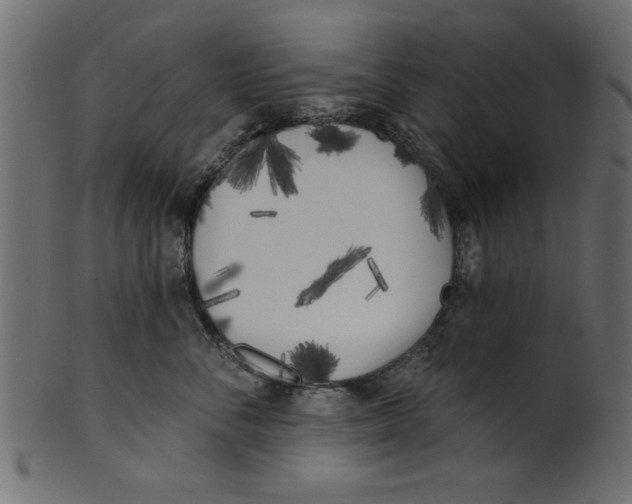 X0000100870716200807181236
