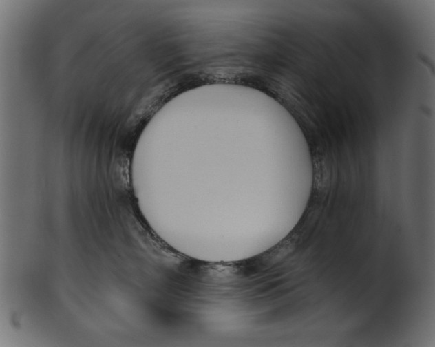 X0000100870718200807181236