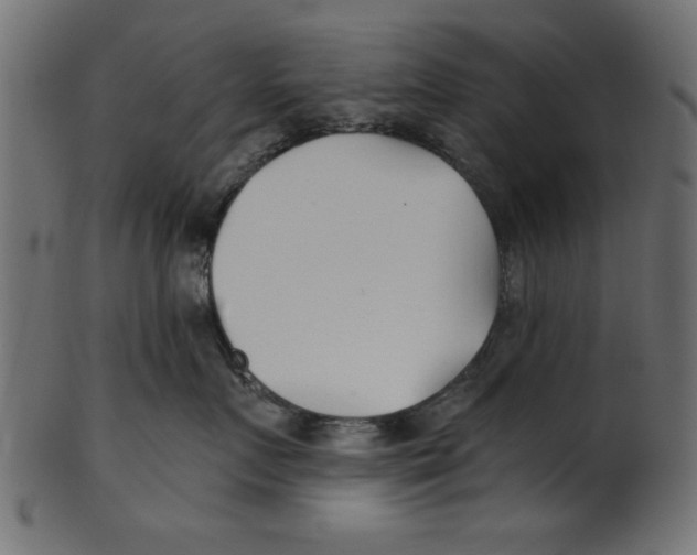 X0000100870719200807181236
