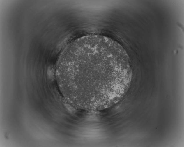 X0000100870720200807181236
