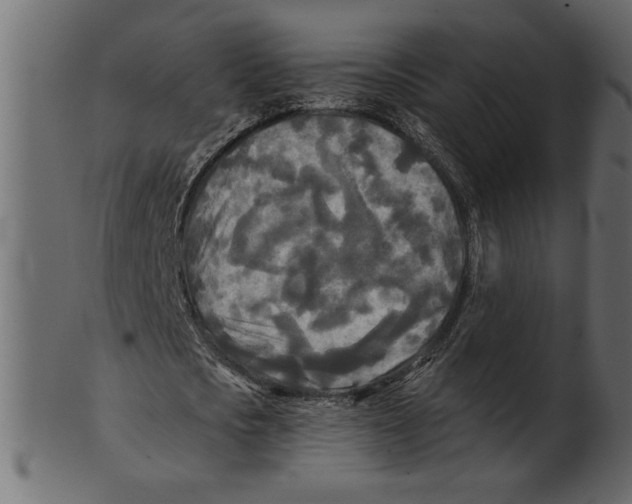 X0000100870721200807181236
