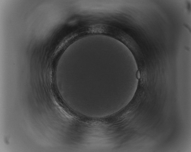 X0000100870722200807181236