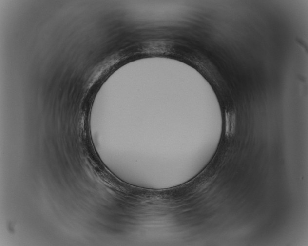 X0000100870723200807181236