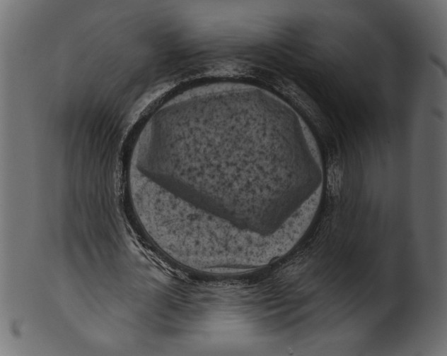 X0000100870724200807181236