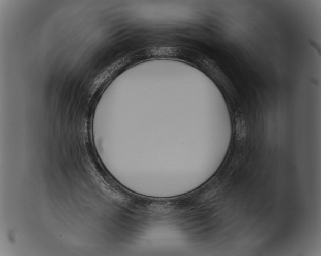 X0000100870725200807181236