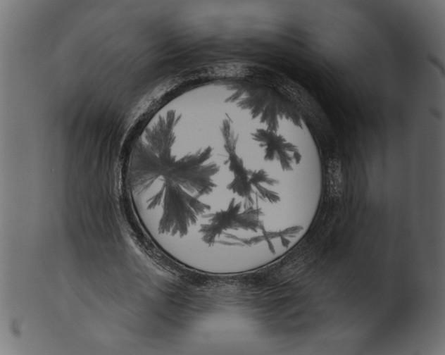 X0000100870726200807181236