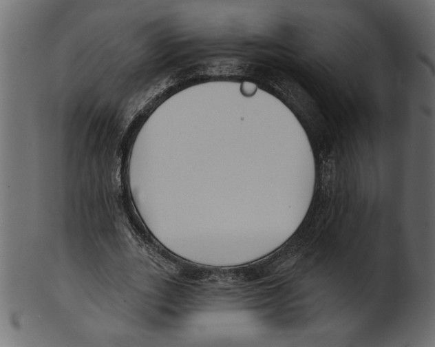 X0000100870727200807181236