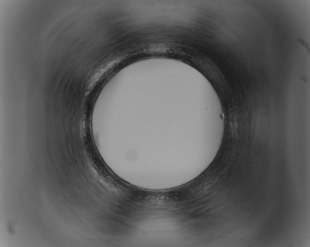 X0000100870728200807181236