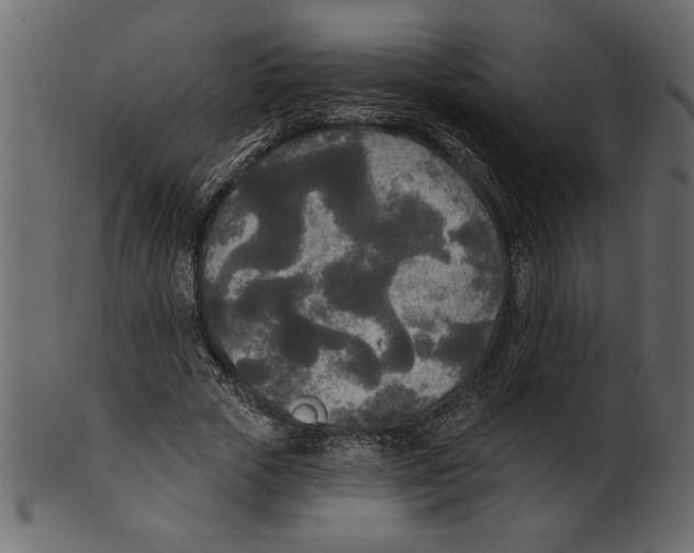X0000100870729200807181236
