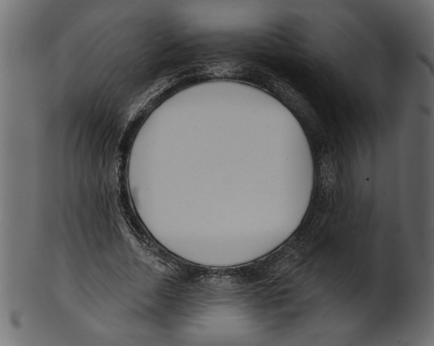 X0000100870730200807181236