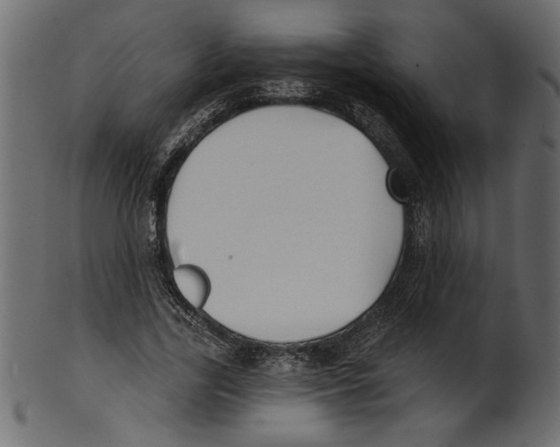 X0000100870731200807181236