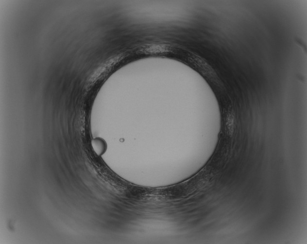 X0000100870732200807181236