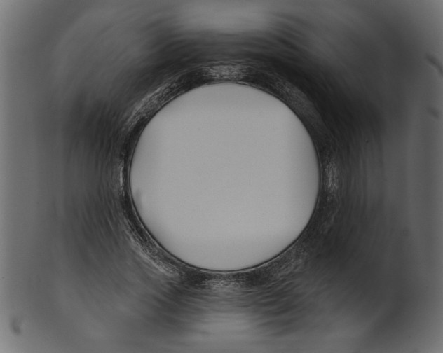 X0000100870733200807181236