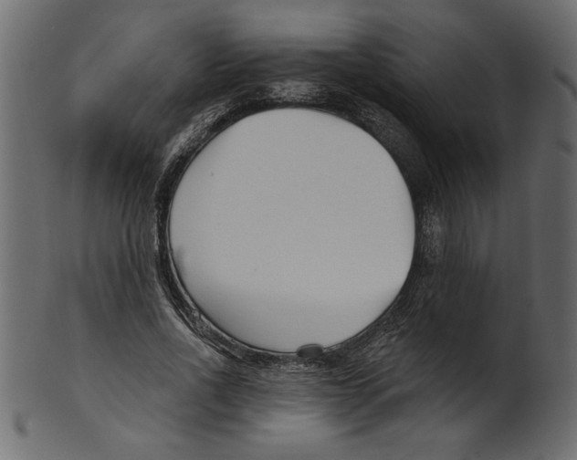 X0000100870734200807181236