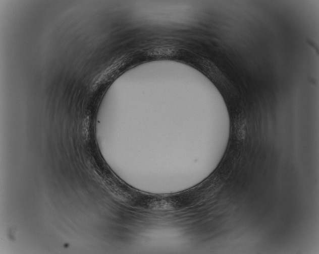X0000100870735200807181236