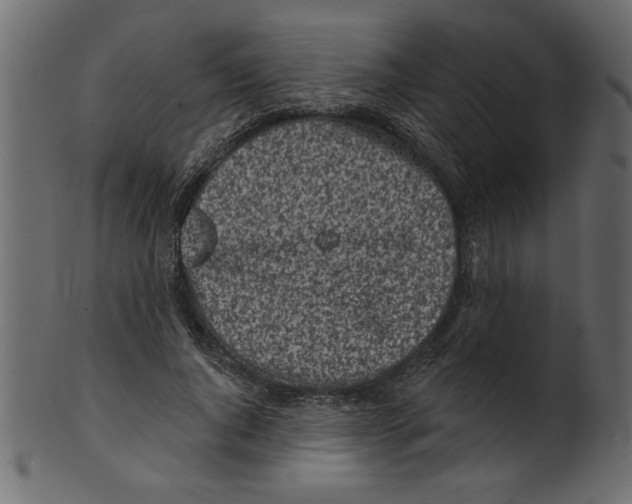 X0000100870736200807181236