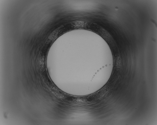 X0000100870737200807181236