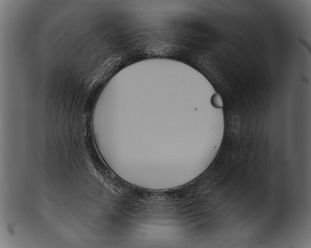 X0000100870738200807181236