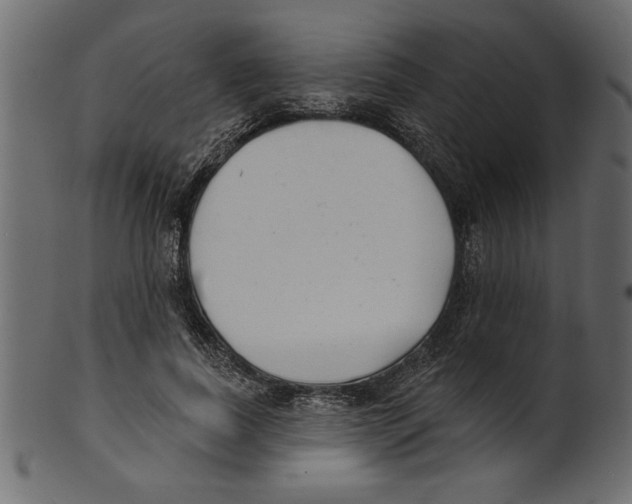 X0000100870739200807181236