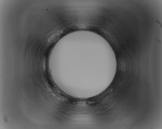 X0000100870740200807181236