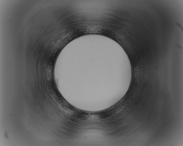 X0000100870741200807181236