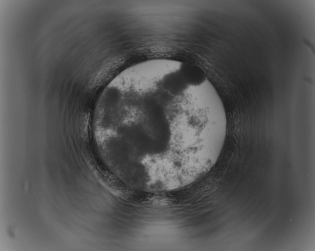 X0000100870742200807181236