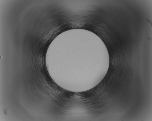 X0000100870743200807181236