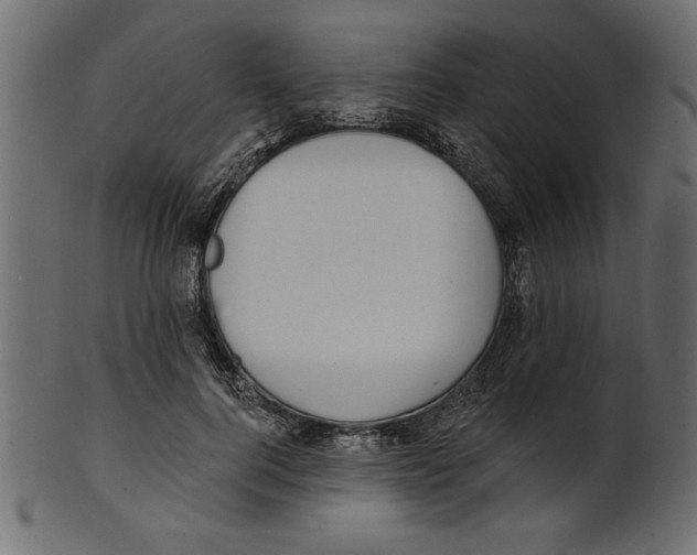 X0000100870744200807181236