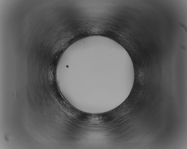 X0000100870746200807181236