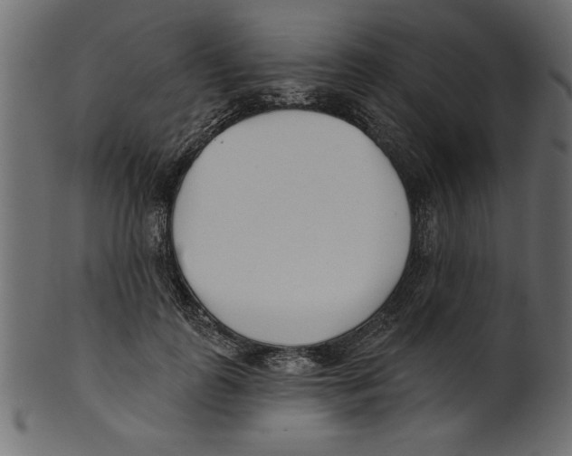 X0000100870747200807181236