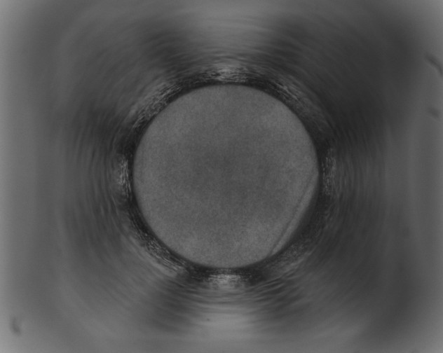 X0000100870748200807181236