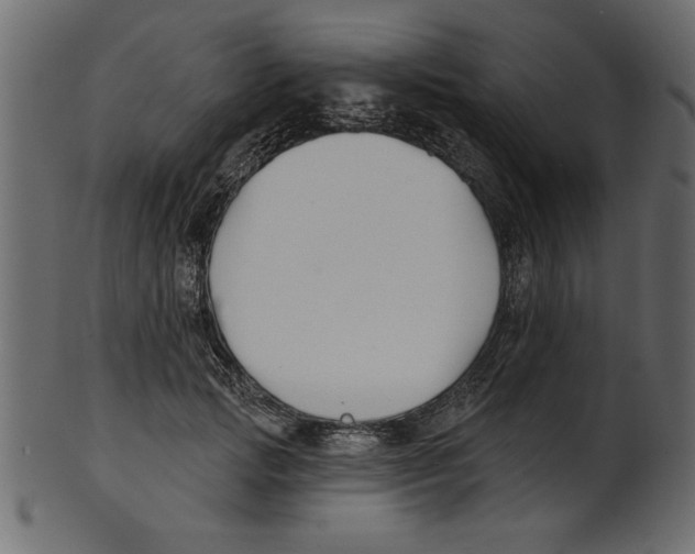 X0000100870749200807181236