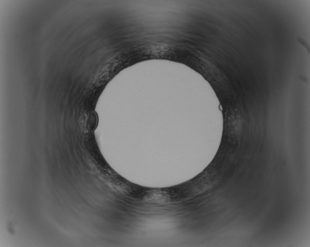 X0000100870750200807181236