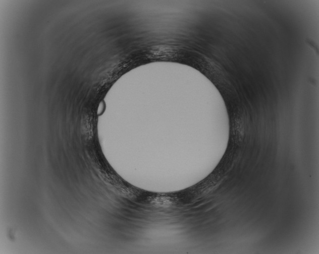 X0000100870751200807181236