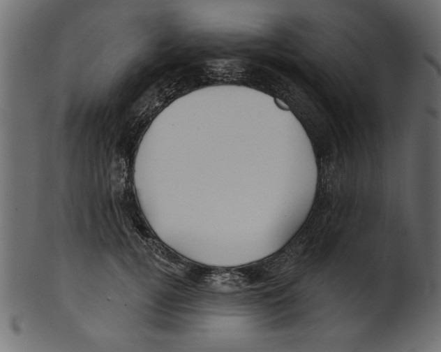 X0000100870752200807181236