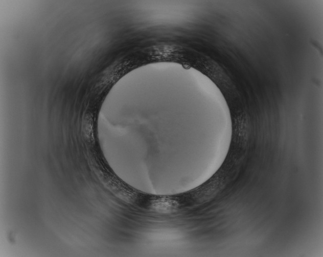 X0000100870754200807181236