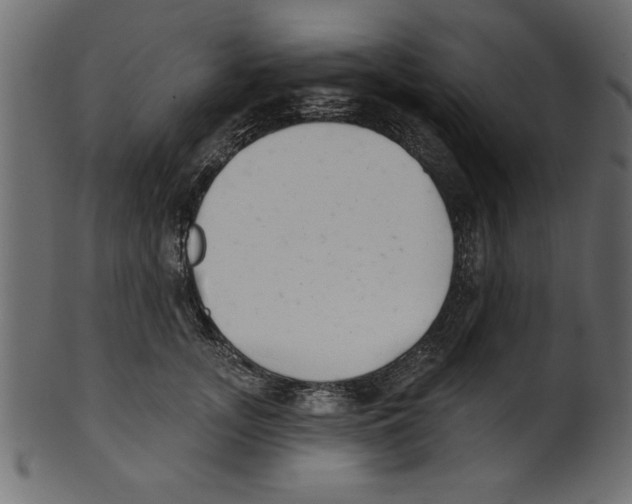X0000100870755200807181236