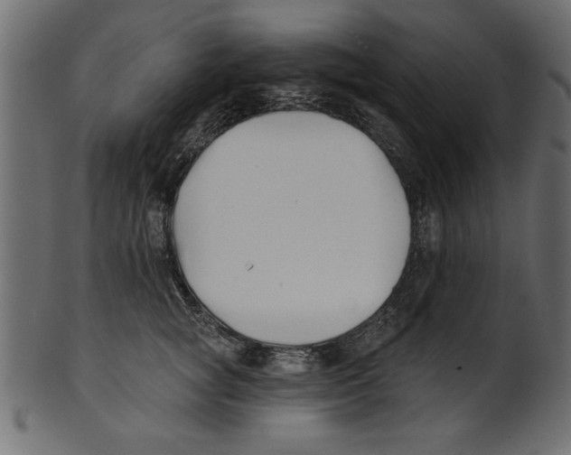X0000100870757200807181236