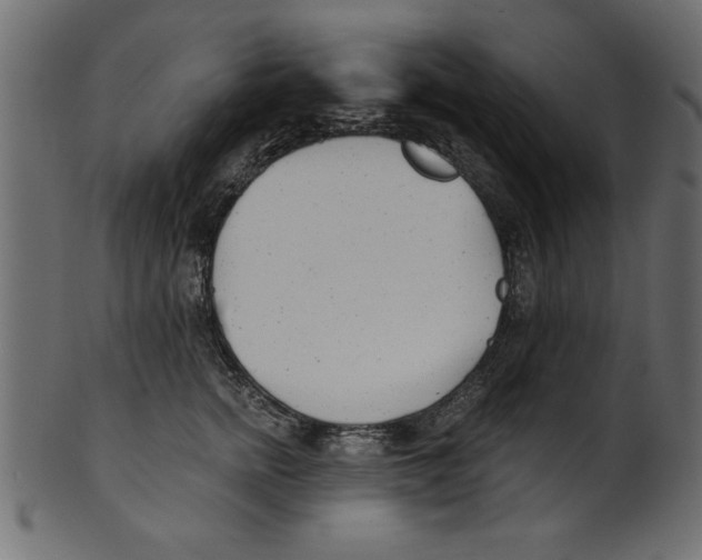 X0000100870758200807181236