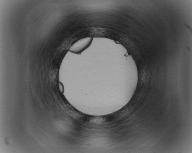 X0000100870759200807181236