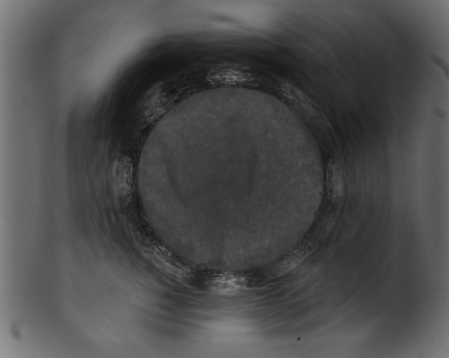 X0000100870760200807181236