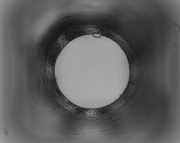 X0000100870761200807181236