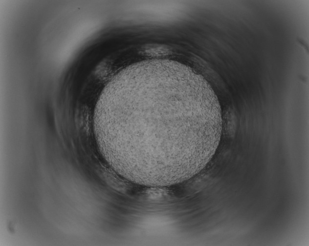 X0000100870762200807181236