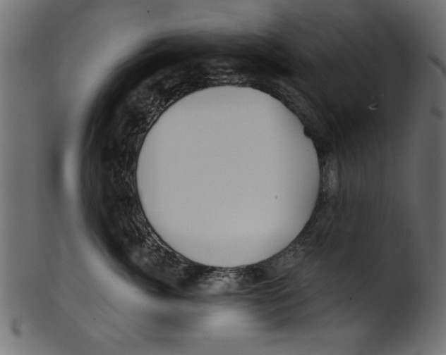 X0000100870764200807181236