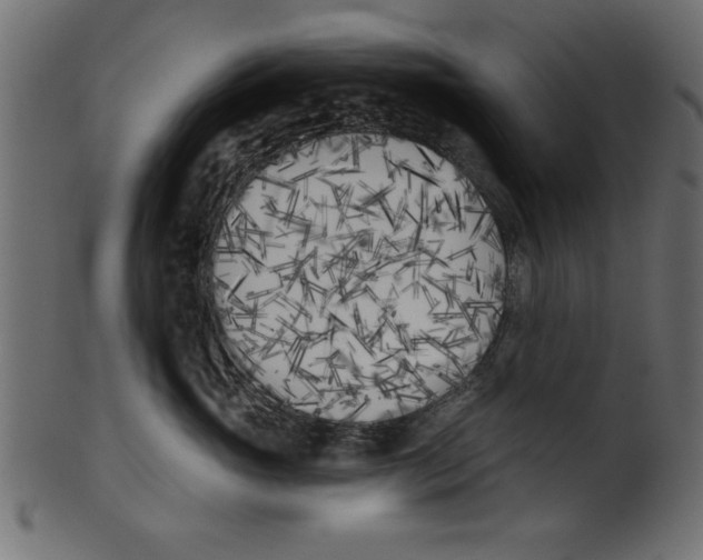 X0000100870765200807181236