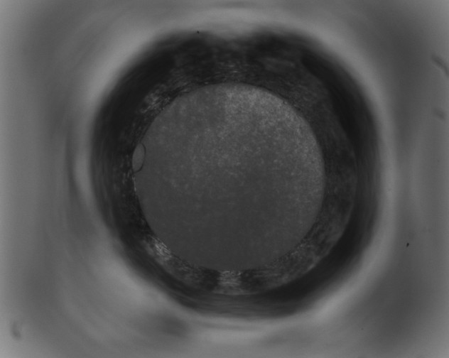X0000100870766200807181236
