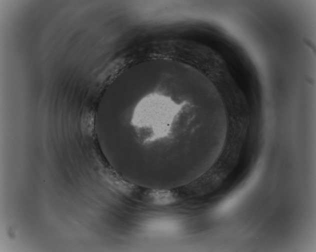 X0000100870767200807181236